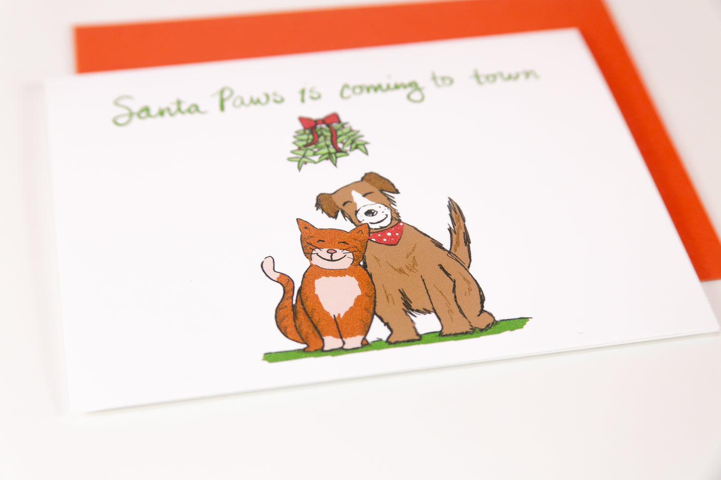 Cat and Dog Christmas Card