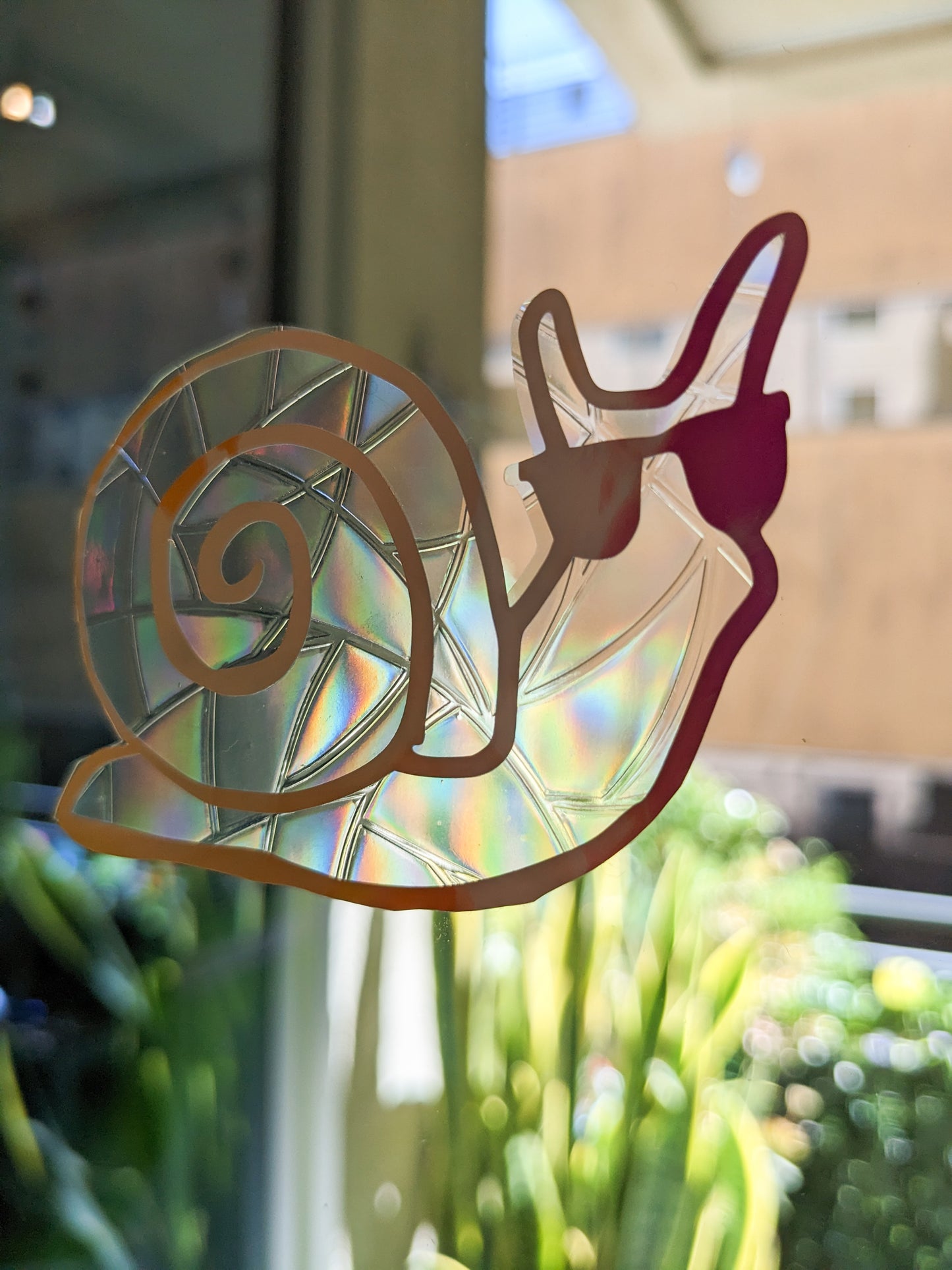 Cool Snail Suncatcher Window Cling